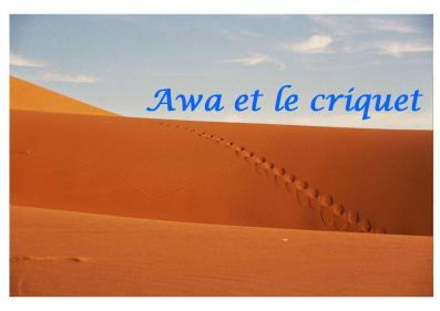 Awa et le criquet