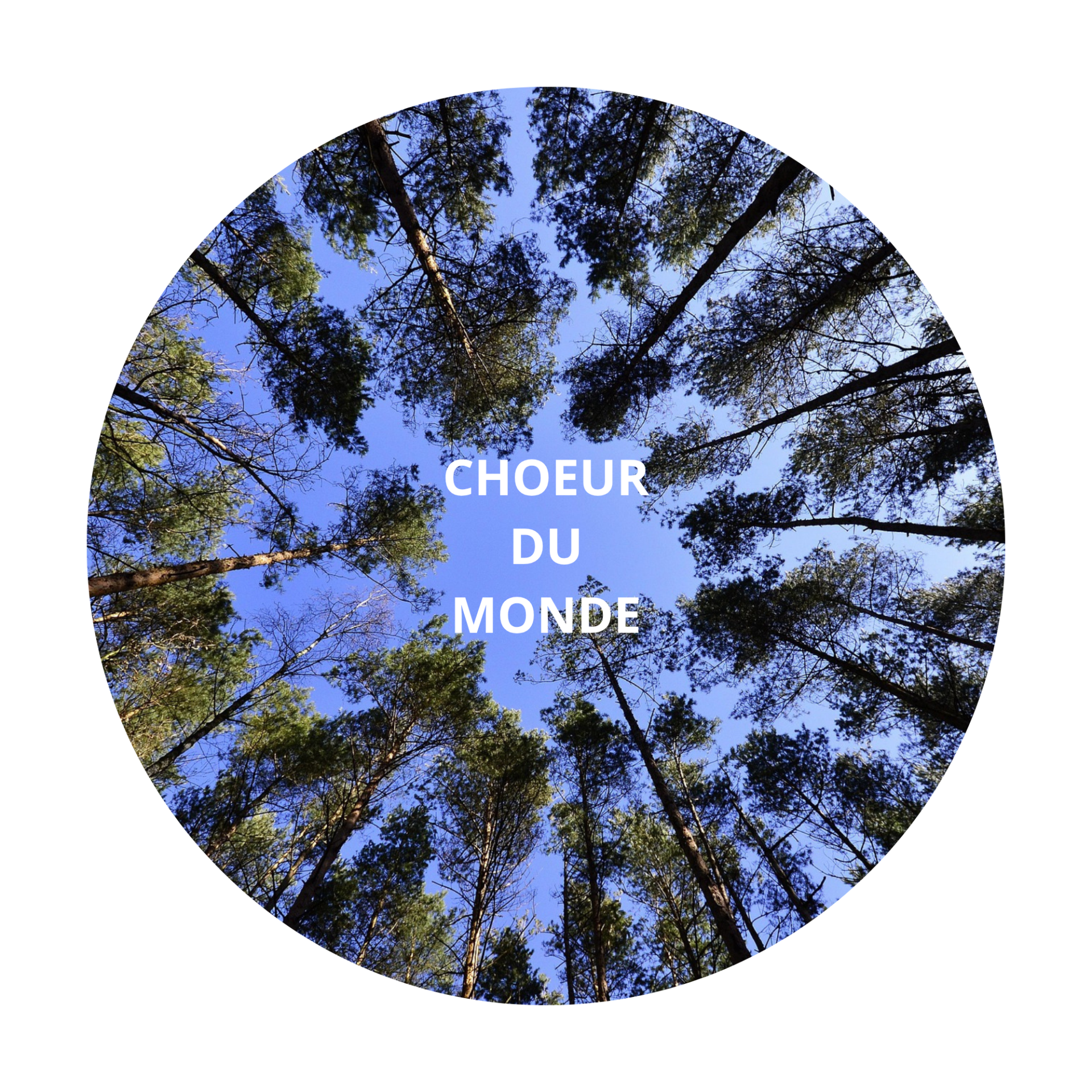 Choeur du monde