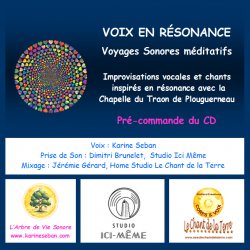 Precommande voix en resonance