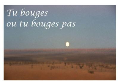 Tu bouges ou pas